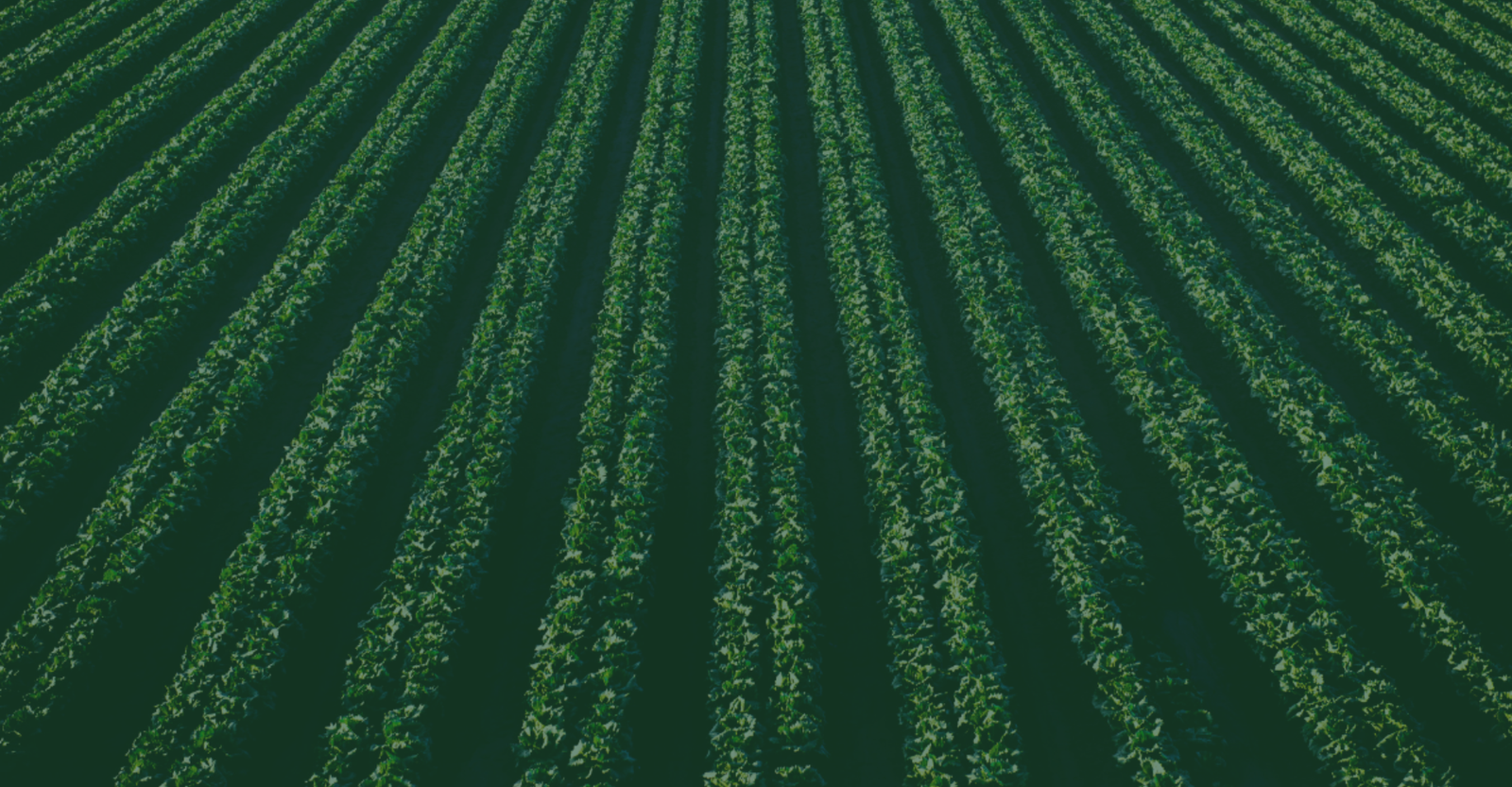 EXIM FARMER INDIAN CHAMBER OF COMMERCE AND INDUSTRY